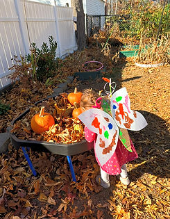 IMG_7013_edited.jpg