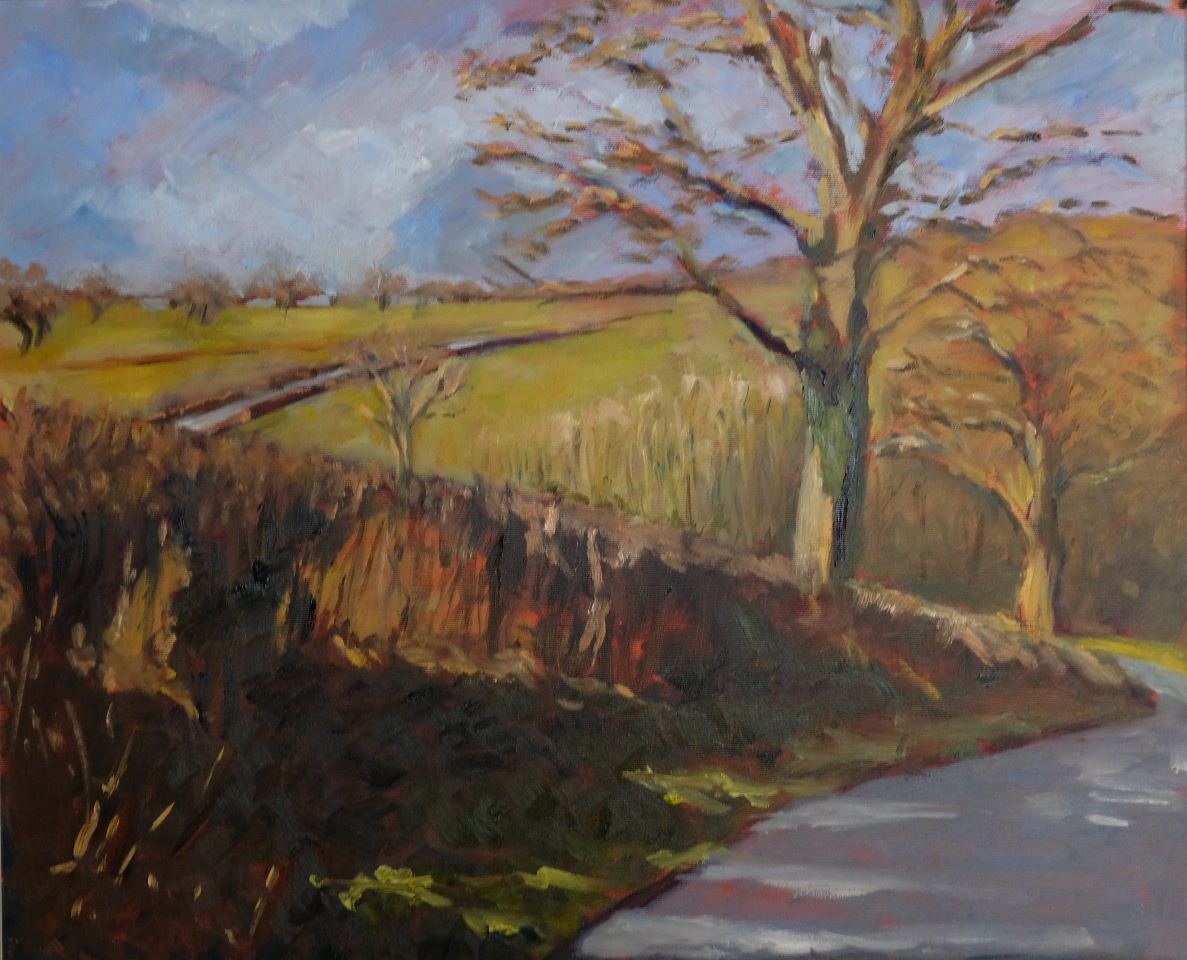 Road near Tremerchion