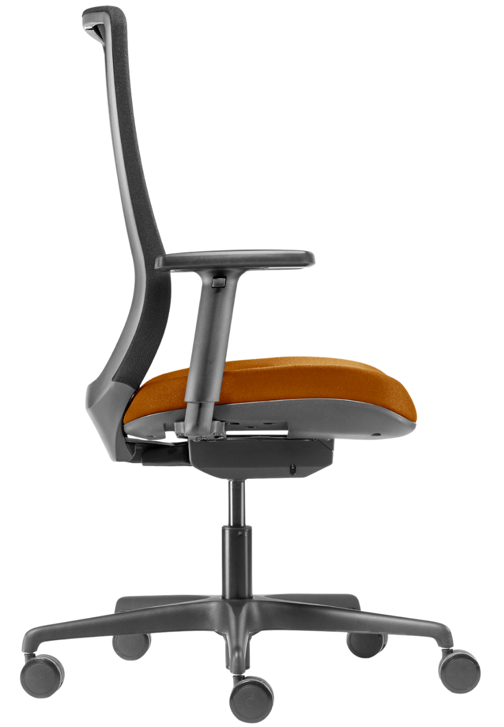 Proyecto sin título (39).png