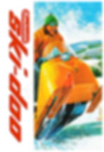 1965 Ski-Doo Action/Jumping Vintage poster image