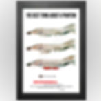  F-4 Phantom II Fighter McDonnell Douglas 1963 poster image with black frame