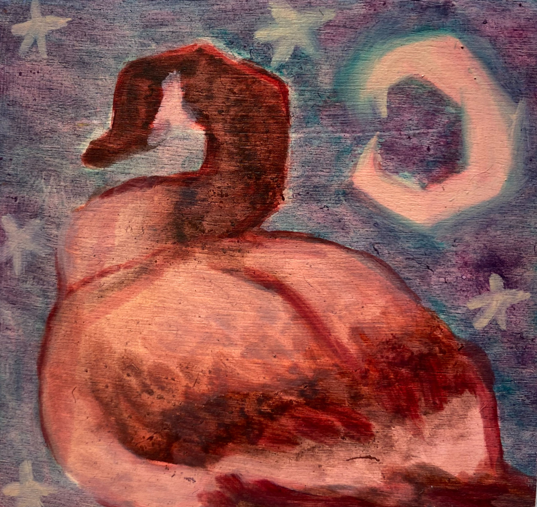 Pigeon Post