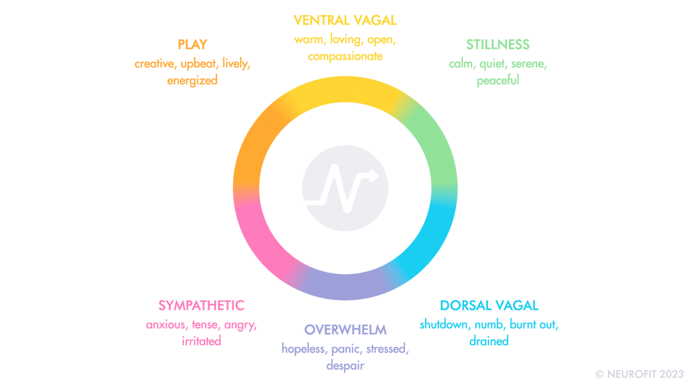 6 Ways To Regulate Your Nervous System And Skyrocket Your Daily 6 Ways To Regulate Your Nervous System And Skyrocket Your Daily