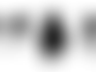 White Color Trilogy, Photography Competition, 2015