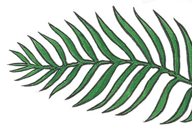 Plant 3.2.png
