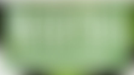 Warum die Wassertemperatur bei Matcha 75 Grad Celsius sein muss