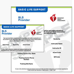 Screenshot 2025-10-31 at 2_edited_edited