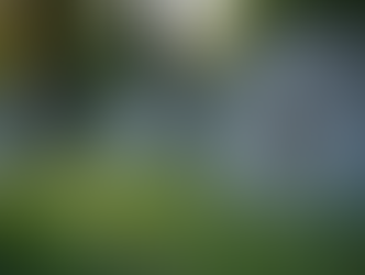 Exploring the Role of Gravestone QR Codes