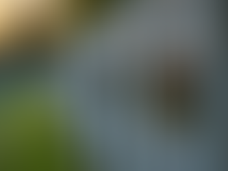 Benefits of QR Codes on Gravestones