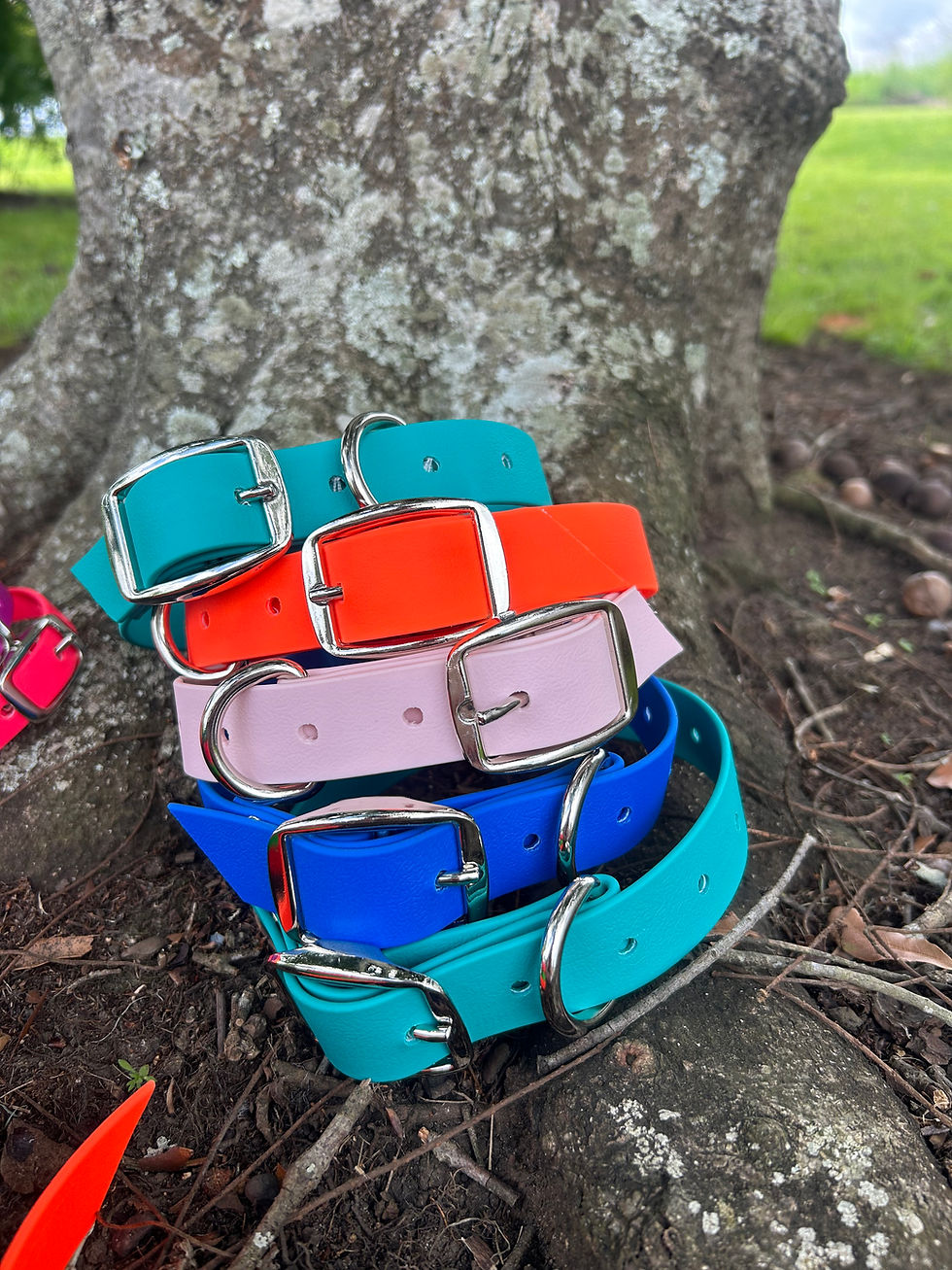 Thumbnail: PVC Dog Collars