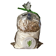 Pancake Mix (2).png