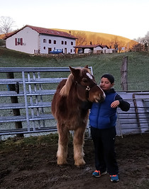 Patxi avec poulain.jpg
