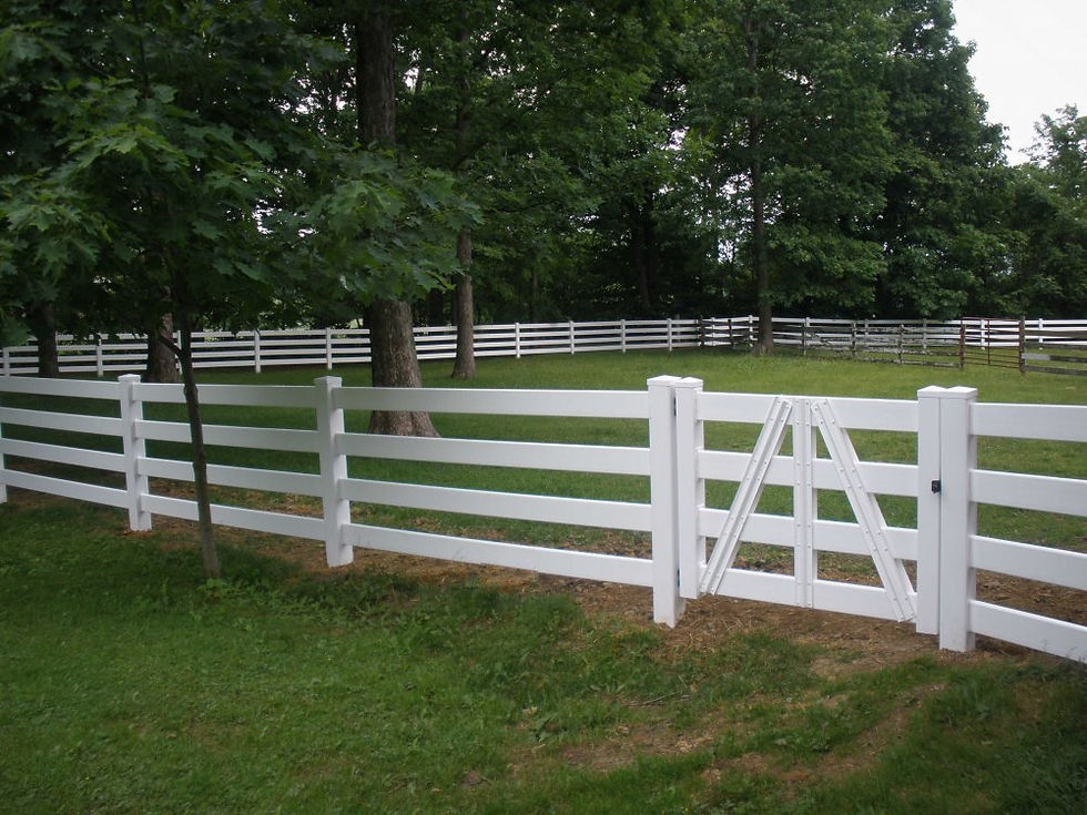 Horse-Fence-Pictures-5 fencepictures dot org.jpg