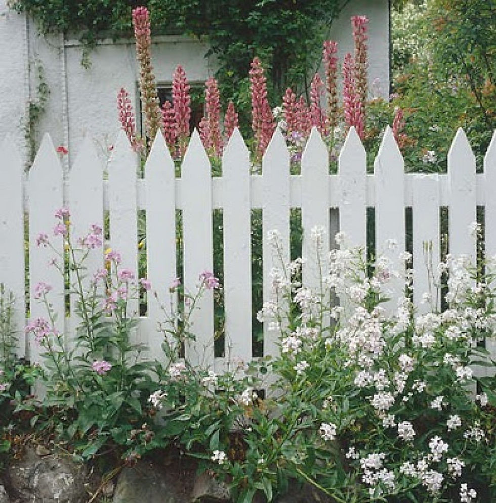 Spear Top Picket Fence