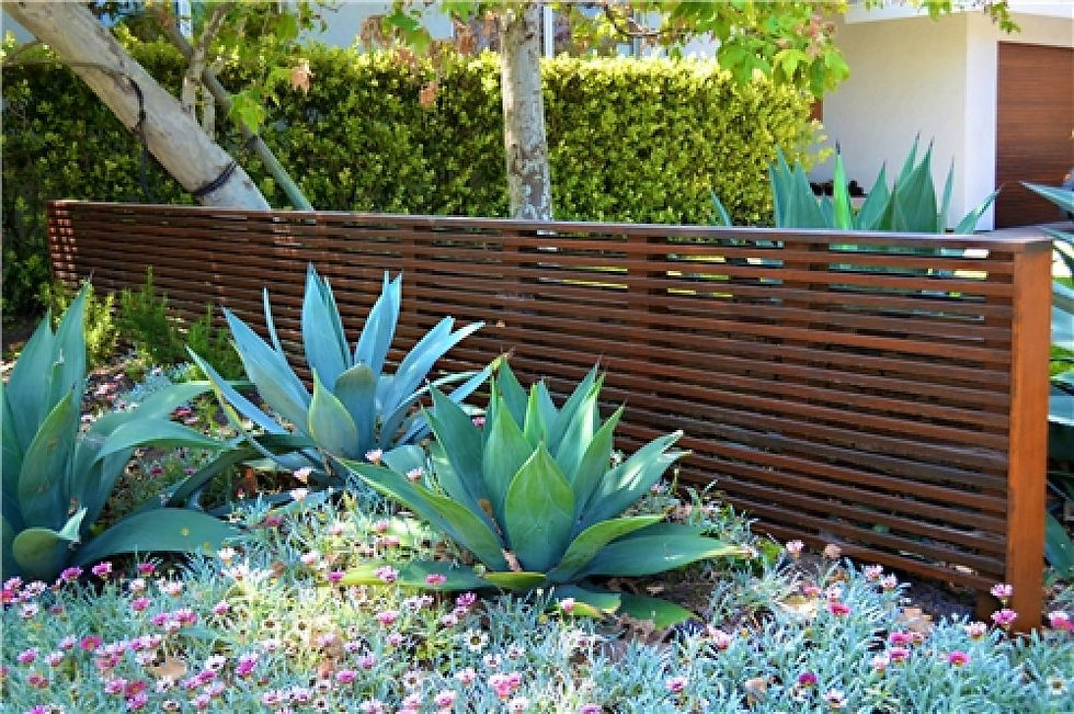 Fence-Landscaping-Pictures-5 fencepictures dot org.jpg