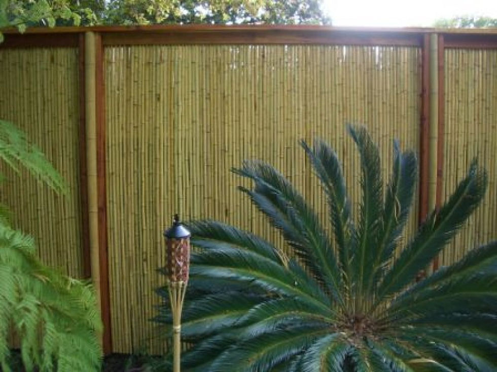 Bamboo-Fence-Pictures-3 fencepictures dot org.jpg