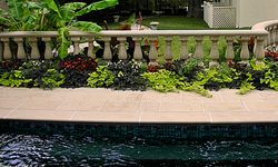 Decorative Fences