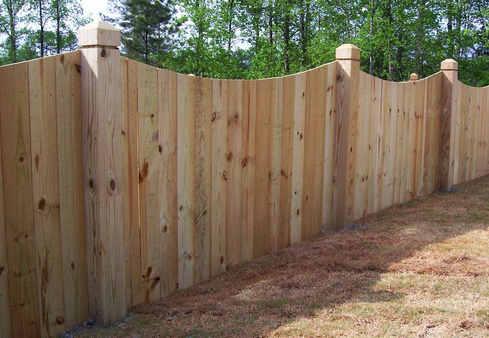 Arched Privacy Fence