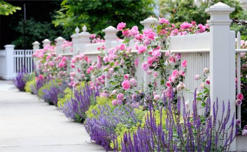 Flat Top Picket Fence
