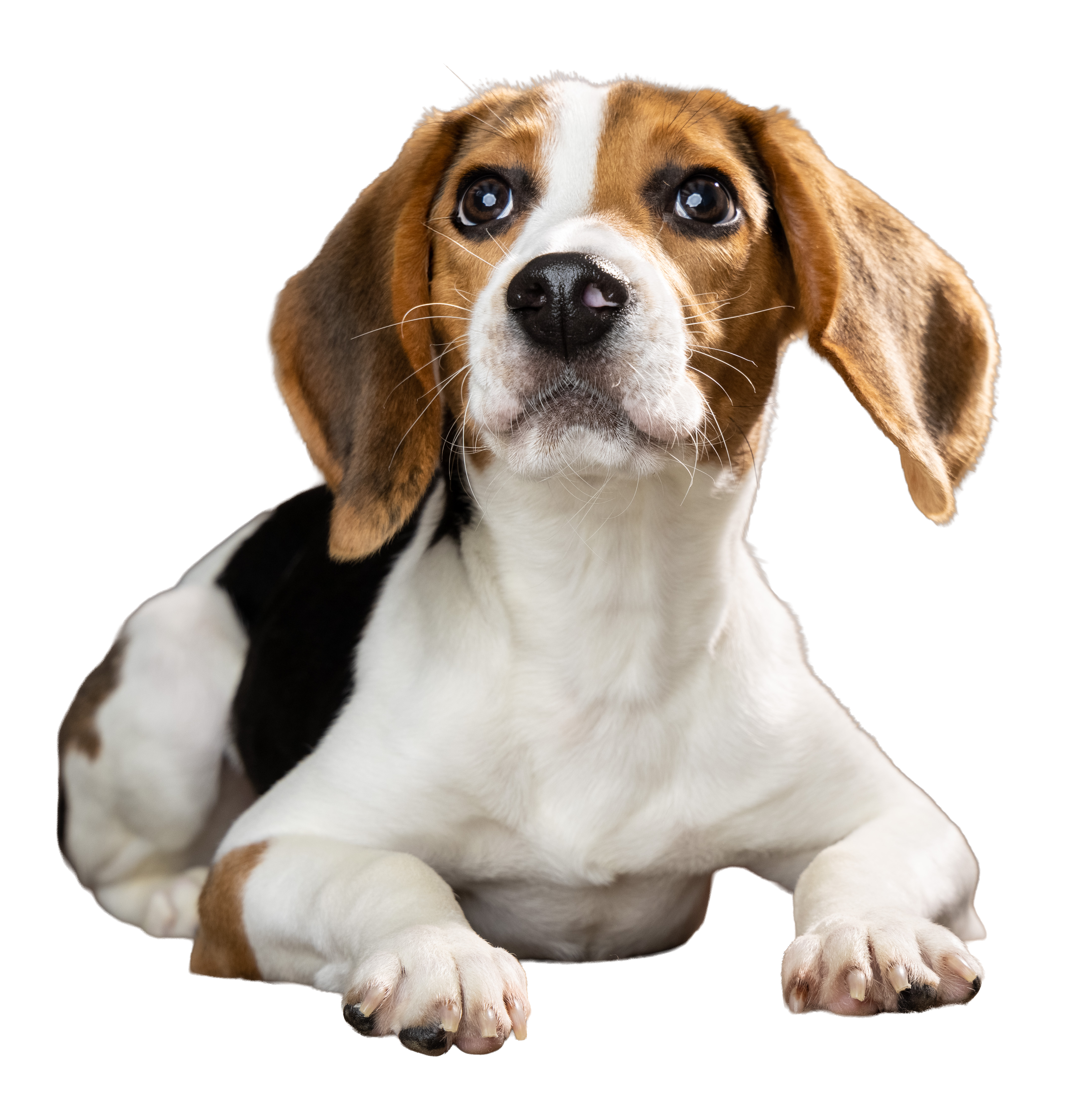 P23-00394_0T9A1300.png