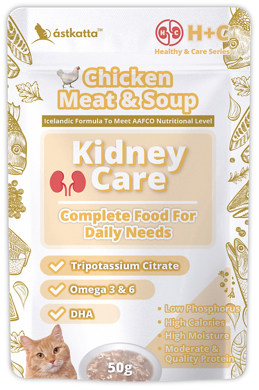 Chicken Meat and Soup.png