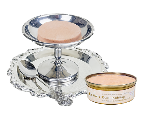 Pudding Duck with can (1).png