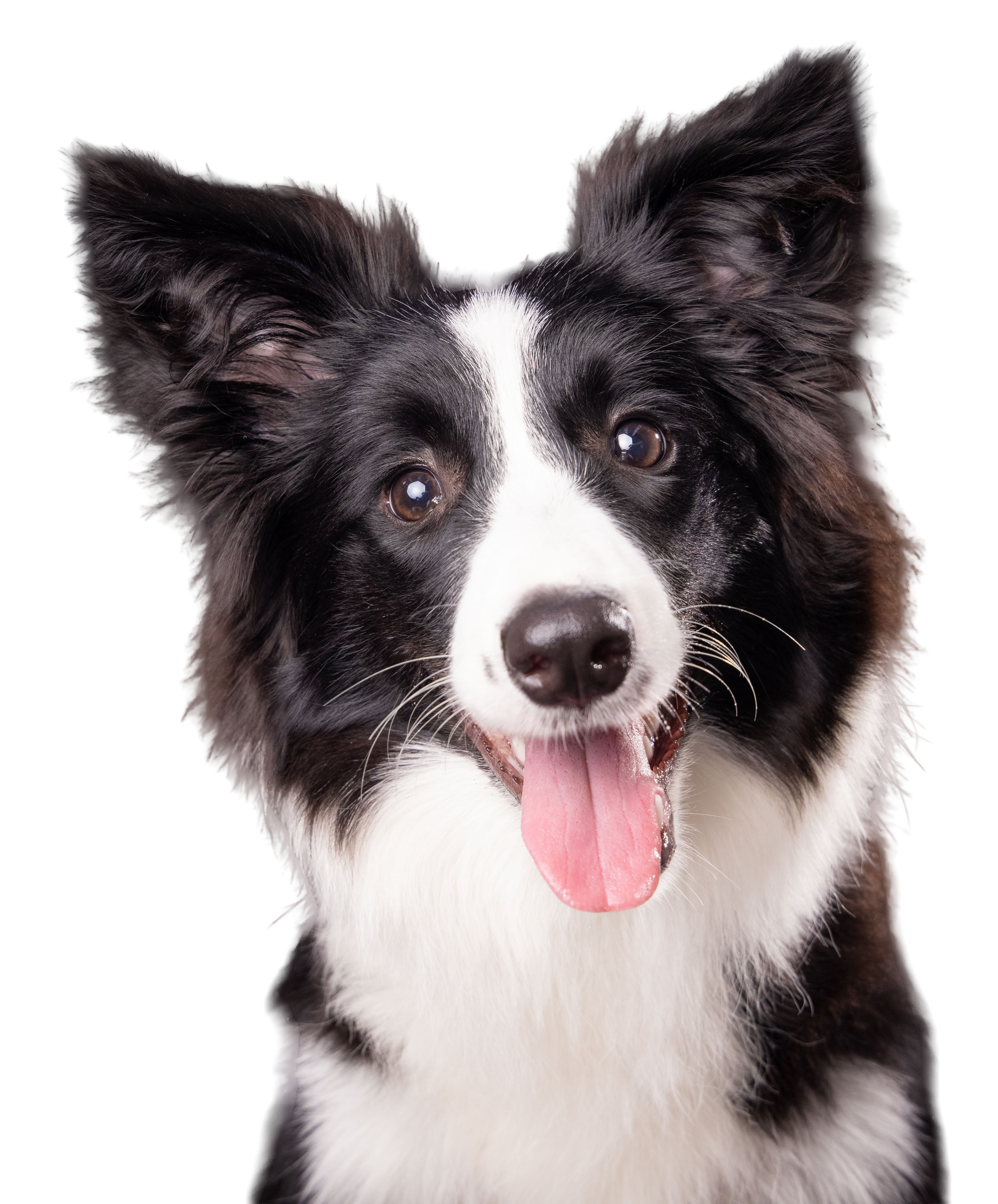 L22-00782_0T9A0354.png