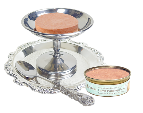 Pudding Lamb with can (2).png
