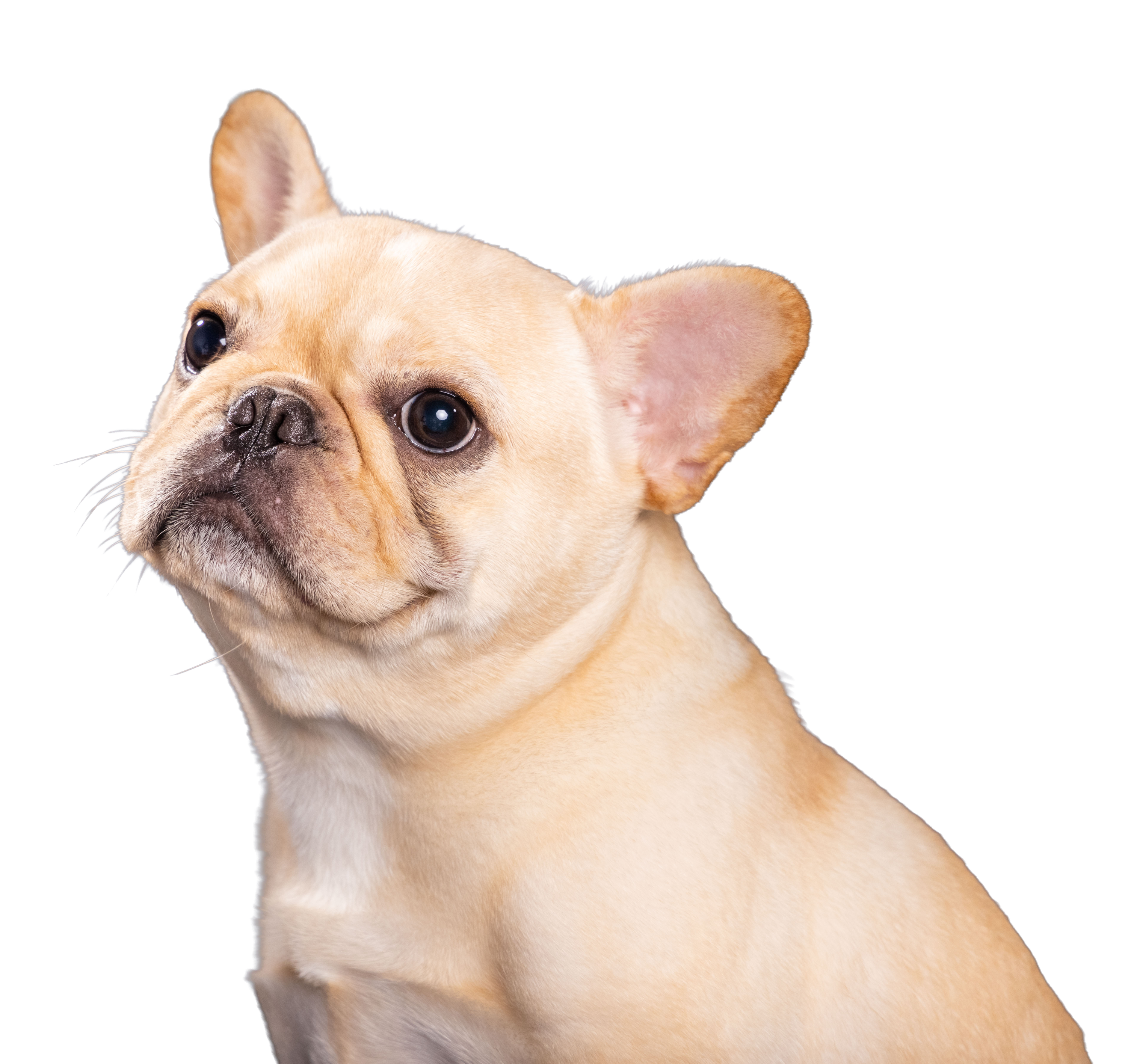 P22-00091_0T9A0408.png