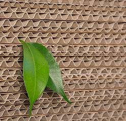 luftpolster papier