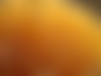 What Determines the Price of Raw Honey? Understanding Raw Honey Cost Factors