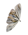 MOTH.png