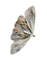 MOTH.png