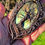 Thumbnail: Yew of Ages • Labradorite • Oxidised Copper Wire Woven Tree Talisman 