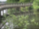 man-path-IMG_3560.jpg