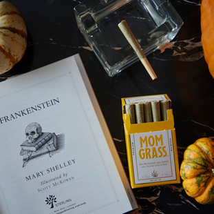 Mary Shelley’s Frankenstein: The Birth of Modern Horror