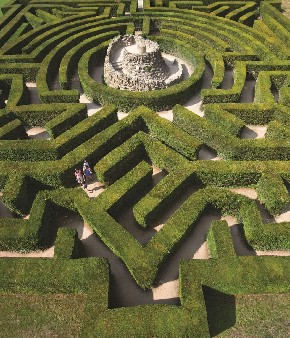 Hedge Maze at Leeds Castle, Kent, UK