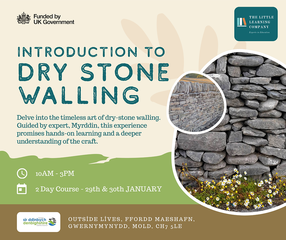 Intro to Dry Stone Walling (D050)