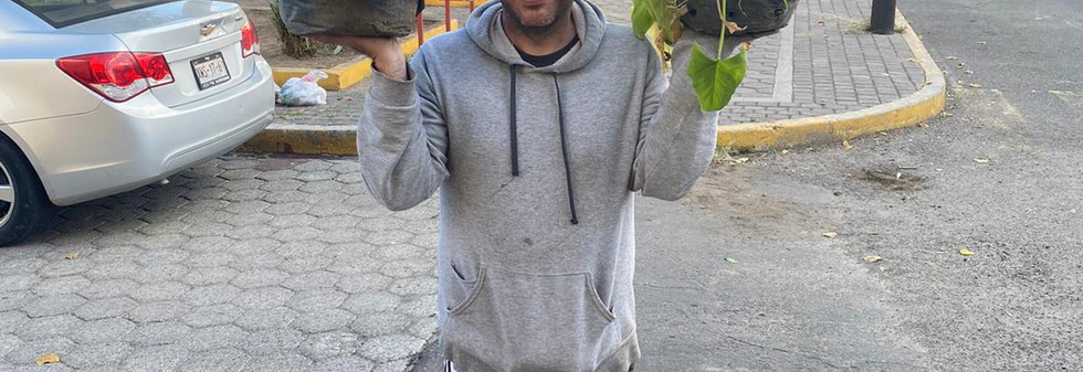 Plantas donadas por el Ayuntamiento de San Pedro Cholula y Alex, nuestro vecino voluntario
