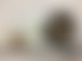 毛替え完了