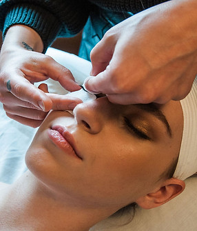 rsz_avedainstitute-9.jpg