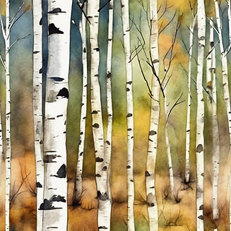 birch trees watercolors.jpg