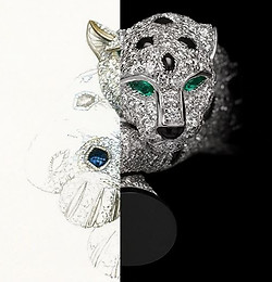 fur setting cartier.JPG
