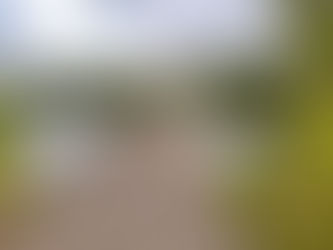 Do. 24 okt. 2024: Herfstwandeling “Kiewit/Bokrijk”