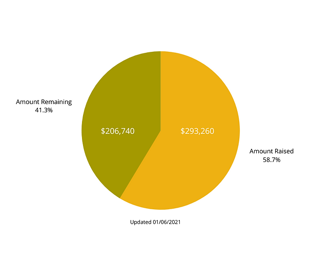 Endowment Graph for Website (3).png