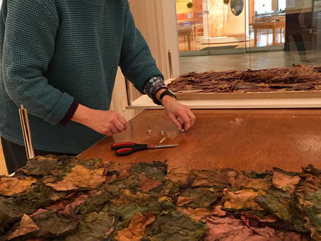 Calling All Artists! Change of Seasons 2020