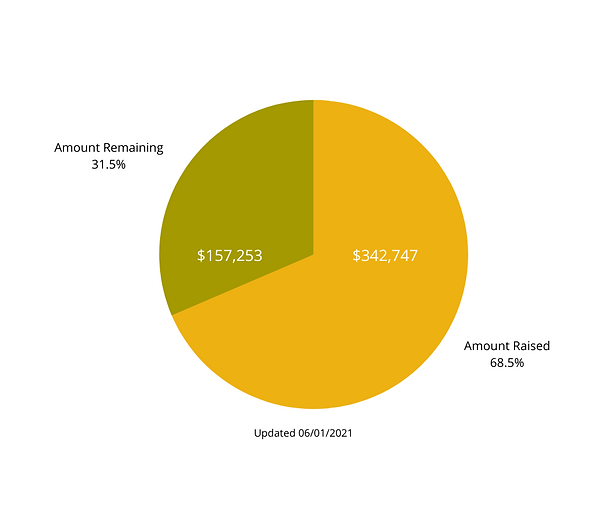 Endowment Graph for Website (9).png