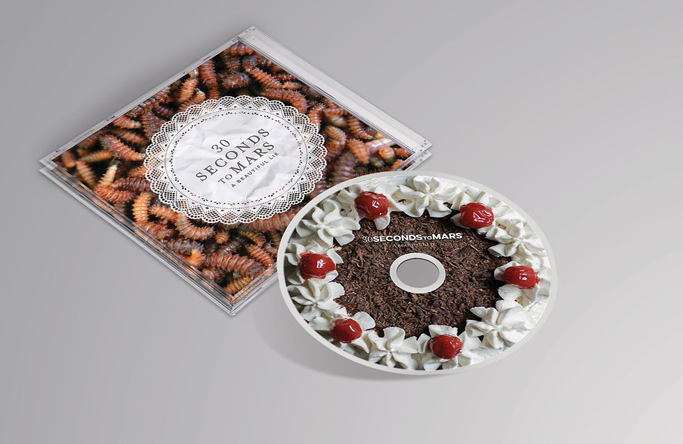 30 Seconds to Mars Album Art