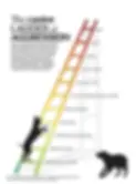 LADDER OF AGGRESSION, puppy training, dog training, dog behaviourist, dog behaviorist, dog reactivity, loose lead training, recall training, dog trainer near me, dog training tips, puppy training, puppy training tips, dog aggression, aggressive dog