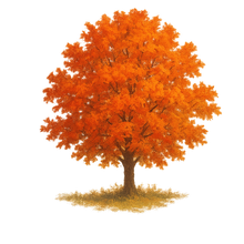 Fall Care & Protection for Your Landscape